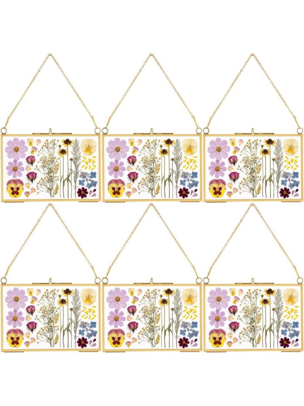 6 Pcs Pressed Flower Frames 4x6 Gold Brass Hanging Double Glass Wall Art Decor